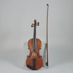 685189 Violin